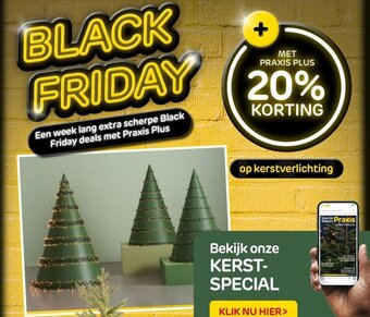 Praxis Kerstverlichting aanbieding