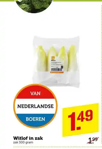 CoopCompact Witlof in zak 500 gram aanbieding