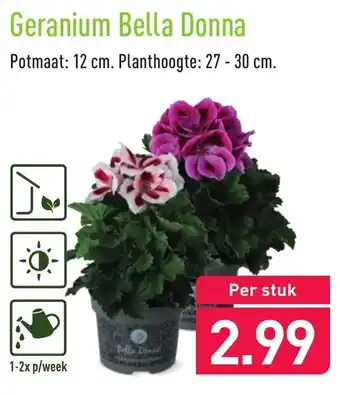 ALDI Geranium Bella Donna aanbieding