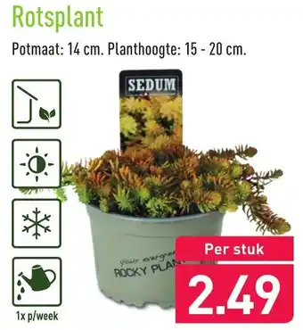 ALDI Rotspant aanbieding