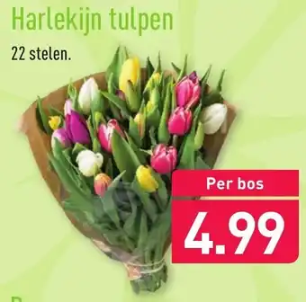 ALDI Harlekijn tulpen aanbieding