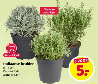 GroenRijk Italiaanse kruiden 14cm aanbieding