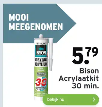 GAMMA Bison Acrylaatkit 30min. aanbieding