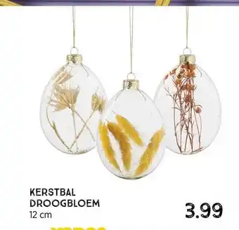 Xenos Kerstbal droogbloem aanbieding