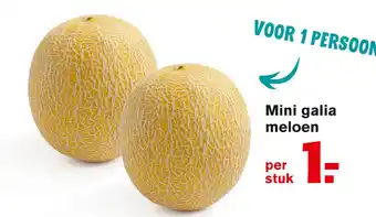 Hoogvliet Mini galia meloen aanbieding