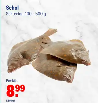 Makro Schol 400-500G aanbieding