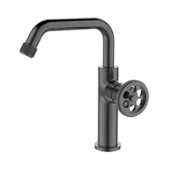 Praxis Essebagno wastafelmengkraan indus gun metal aanbieding