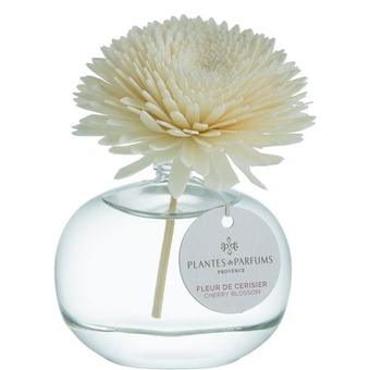 Douglas Plantes & parfums cherry blossom aanbieding