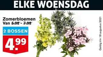 Hoogvliet Zomerbloemen aanbieding