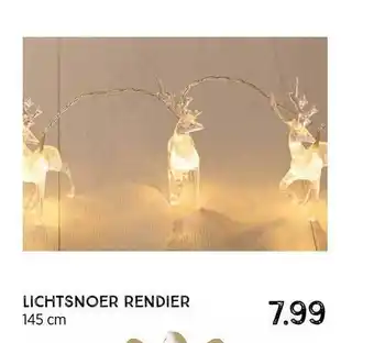 Xenos Lichtsnoer rendier aanbieding