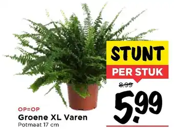 Vomar Voordeelmarkt Groene XL Varen aanbieding