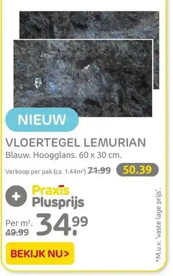 Praxis Vloertegel Lemurian blauw 60x30 cm aanbieding