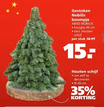 Ranzijn Gestoken nobilis boompje aanbieding