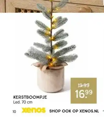 Xenos Kerstboompje aanbieding