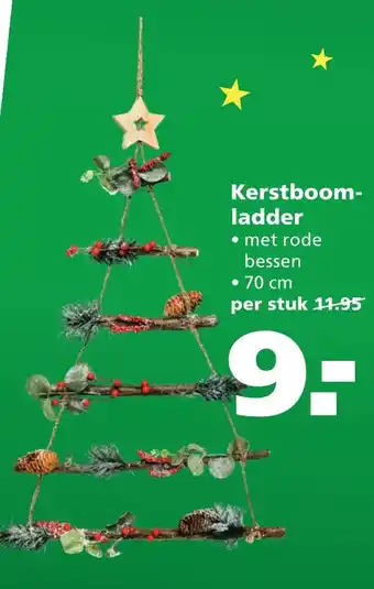 Ranzijn Kerstboomladder aanbieding