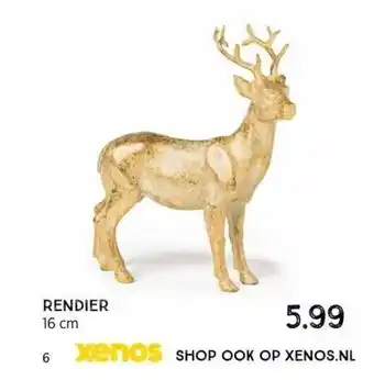 Xenos Rendier aanbieding