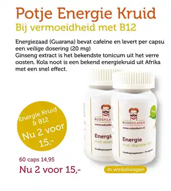 De Rode Pilaren Potje Energie Kruid aanbieding