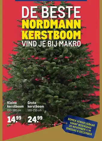 Makro Kleine kerstboom of grote kerstboom aanbieding