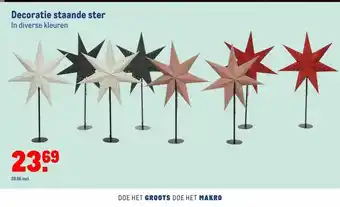 Makro Decoratie staande ster aanbieding