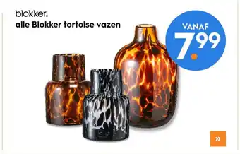 Blokker Alle blokker tortoise vazen aanbieding