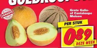 Nettorama Grote Galia of Cantaloupe Meloen aanbieding