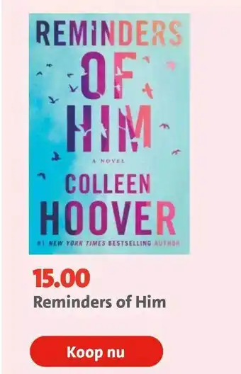 Bruna Reminders of him - colleen hoover aanbieding