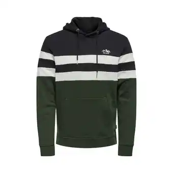 Plutosport Only & sons jacob regular logo cb hoodie heren aanbieding