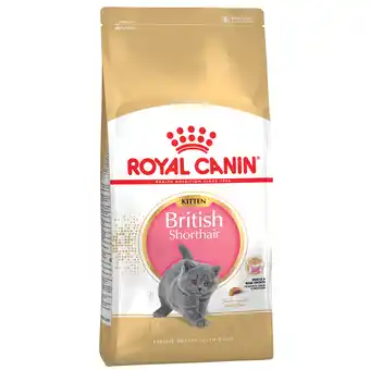 Zooplus 10kg british shorthair kitten royal canin breed kattenvoer aanbieding