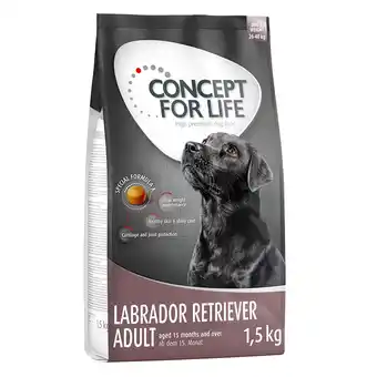 Zooplus 1,5kg labrador retriever adult concept for life hondenvoer aanbieding