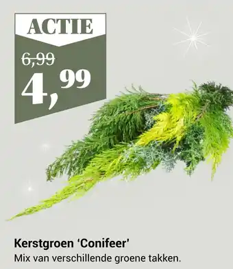 Tuincentrum Osdorp Kerstgroen 'conifeer' aanbieding