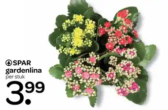 Spar SPAR gardenlina aanbieding