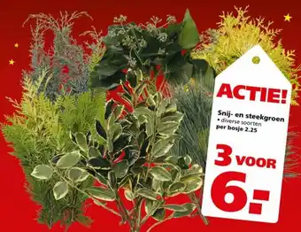 Ranzijn Snij- en steekgroen aanbieding