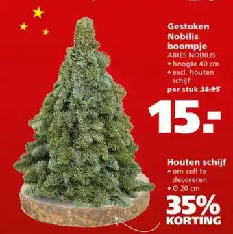 Ranzijn Gestoken nobilis boompje abies nobilis of houten schijf 35% korting aanbieding