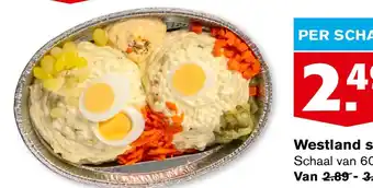Hoogvliet Westland salade aanbieding