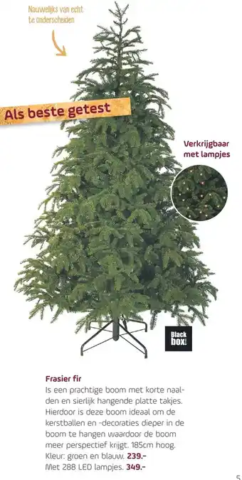 Coppelmans Frasier fir aanbieding