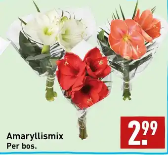 ALDI Amaryllismix per bos aanbieding