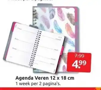 Boekenvoordeel Agenda veren 12 x 18 cm aanbieding