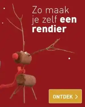 ALDI Zo maak je zelf een rendier aanbieding