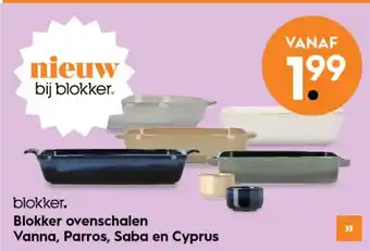 Blokker Blokker ovenschalen vanna, parros, saba en cyprus aanbieding