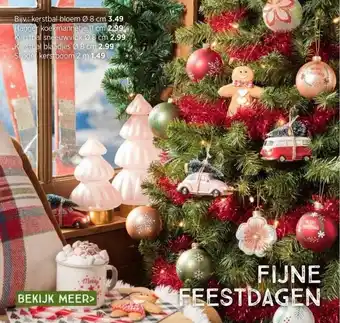 Xenos Fijne feestdagen aanbieding