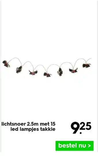 HEMA Lichtsnoer 2.5m met 15 led lampjes takkie aanbieding