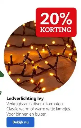 Boerenbond Ledverlichting ivy aanbieding