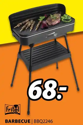 Expert Fritel Barbecue | BBQ2246 aanbieding