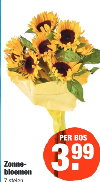 ALDI Zonne- bloemen aanbieding