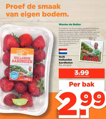 PLUS GIJS Hollandse Aardbeien aanbieding