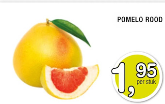 Amazing Oriëntal Pomelo rood aanbieding