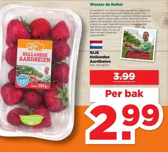 PLUS Gijs Hollandse Aardbeien 250 Gram aanbieding