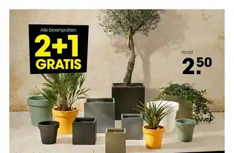 Kwantum Alle Bloempotten 2+1 Gratis aanbieding