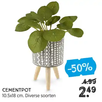 Xenos Cementpot aanbieding