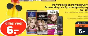 Trekpleister Poly Palette en Poly haarverf, aanbieding